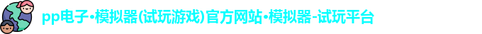 pp电子